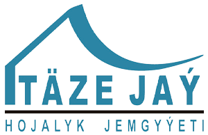 Logo taze